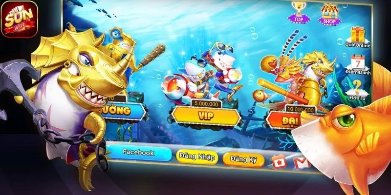 Giải trí cân bằng và an toàn